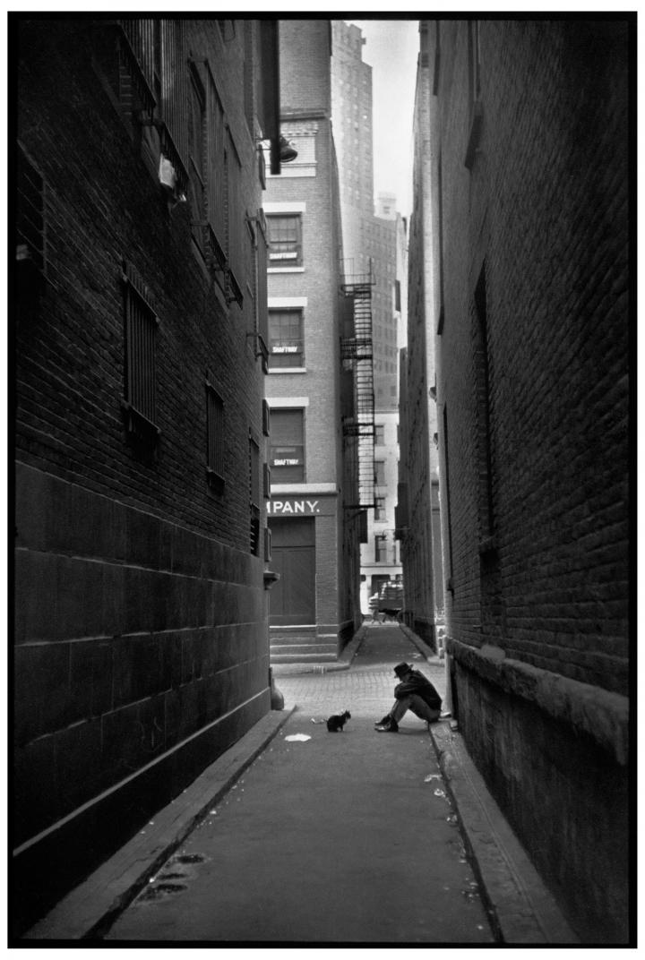 A man sitting down at mouth of an alleyway, staring at a cat sitting a few feet away from him. 
