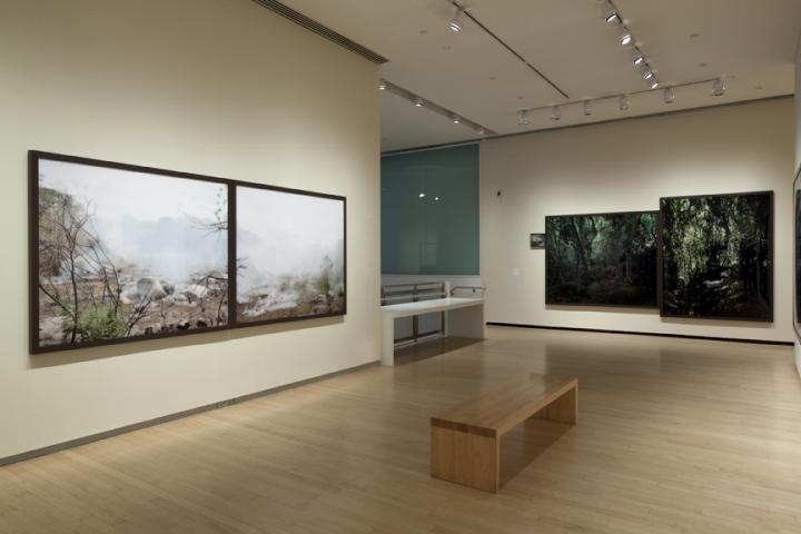 An exhibition of forest landscapes. 