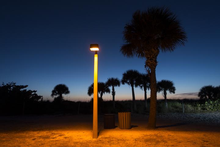 A single yellow street light with palm trees surrounding it. 