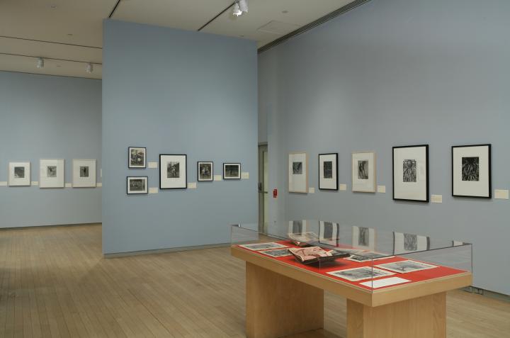 Photographs on display at an ICP exhibit. 