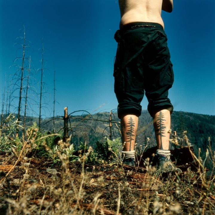 A picture of a man's legs with tree tattoos.