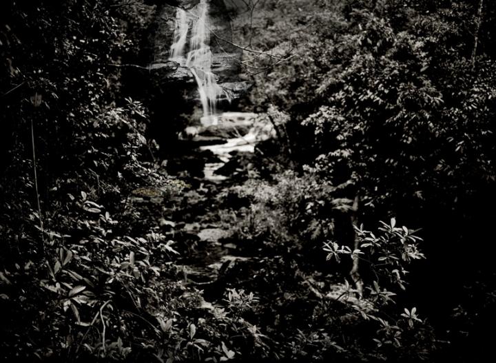 A waterfall in the distance, with leaves and branches in the foreground. 