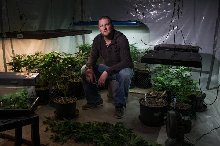 Man sitting with growing marijuana plants