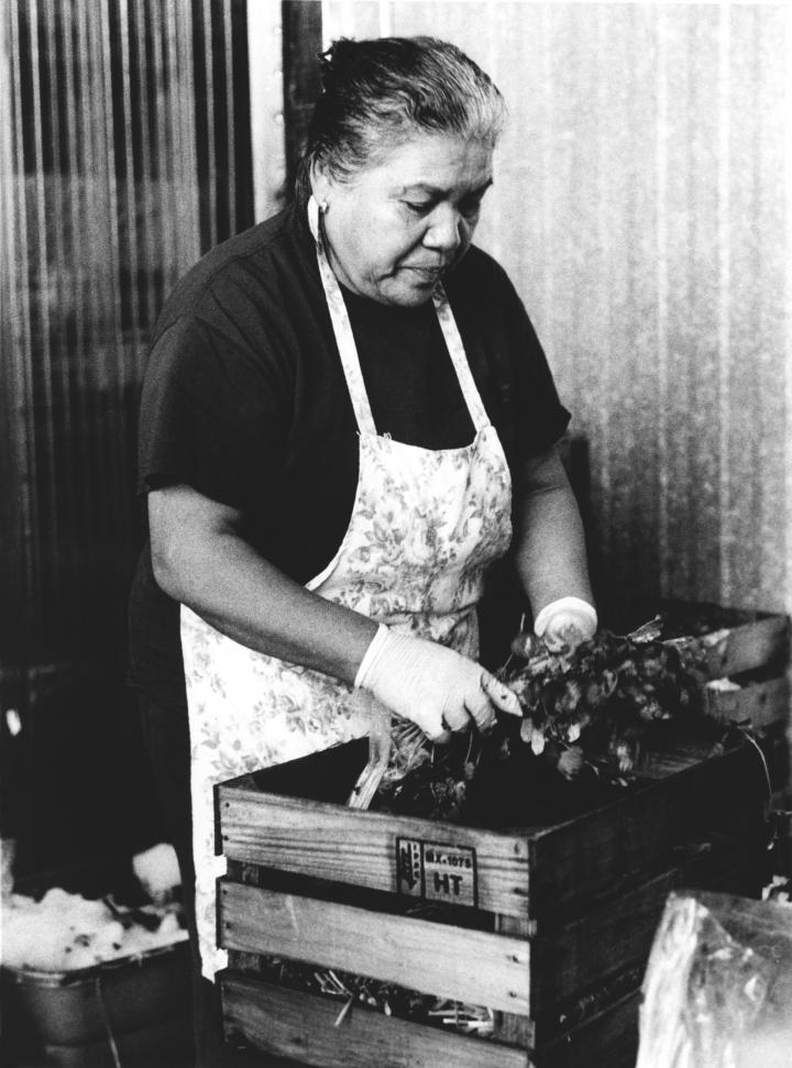 Black and white image of a lady unpacking leaves
