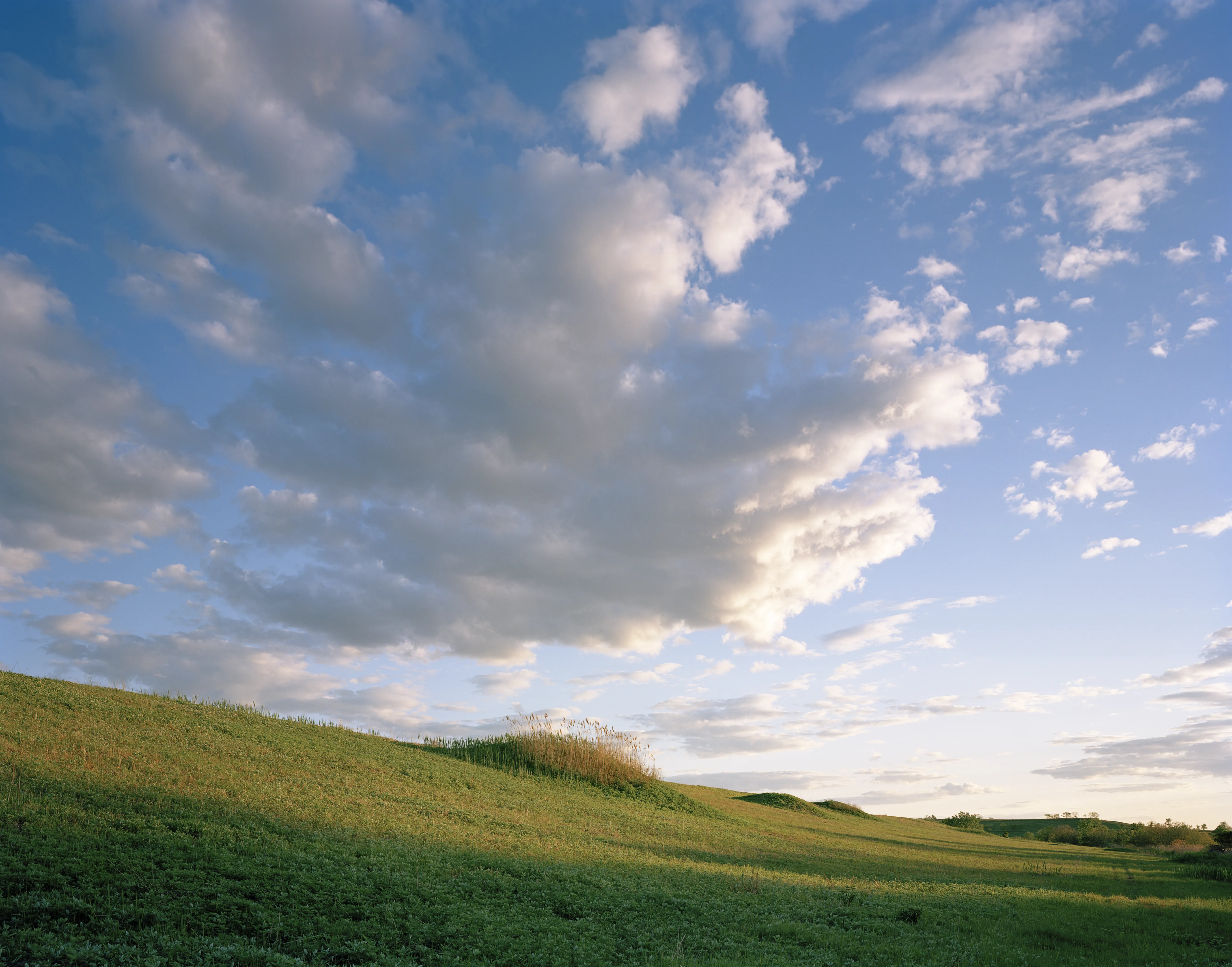 © Jade Doskow East Mound, Undulations (Our Sacred Mounds)