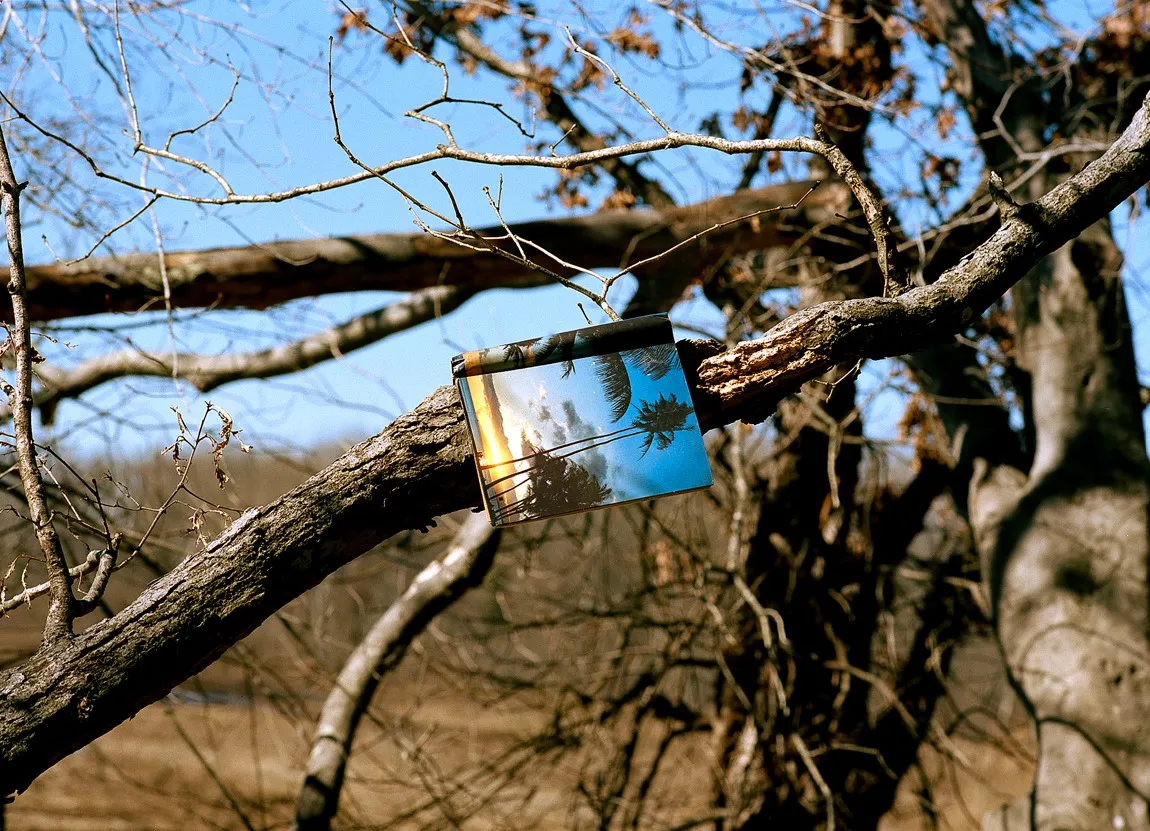 Barnett_Adriel_CP__2024_Slideshow_10