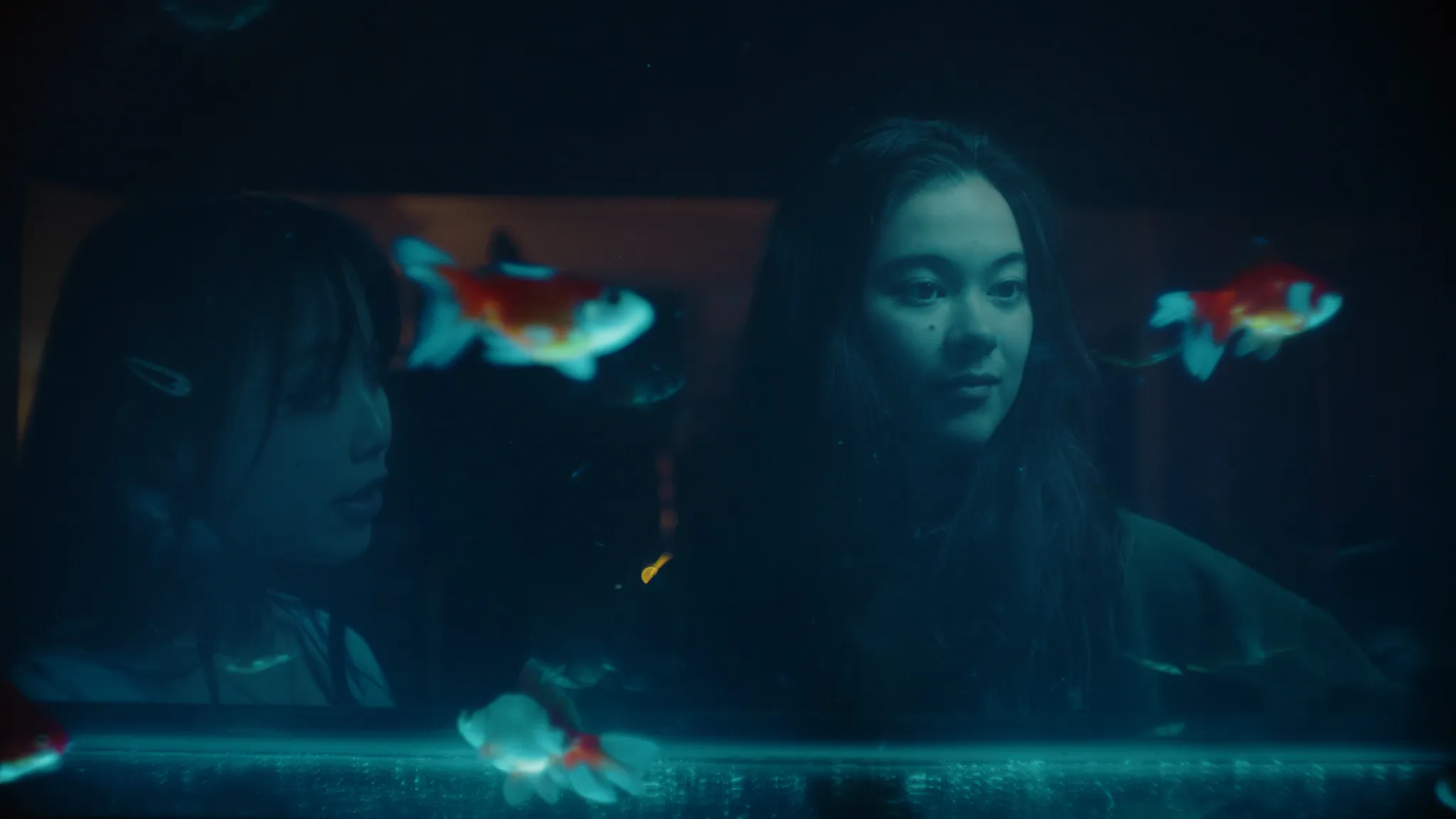 Still by Emily May Jambel