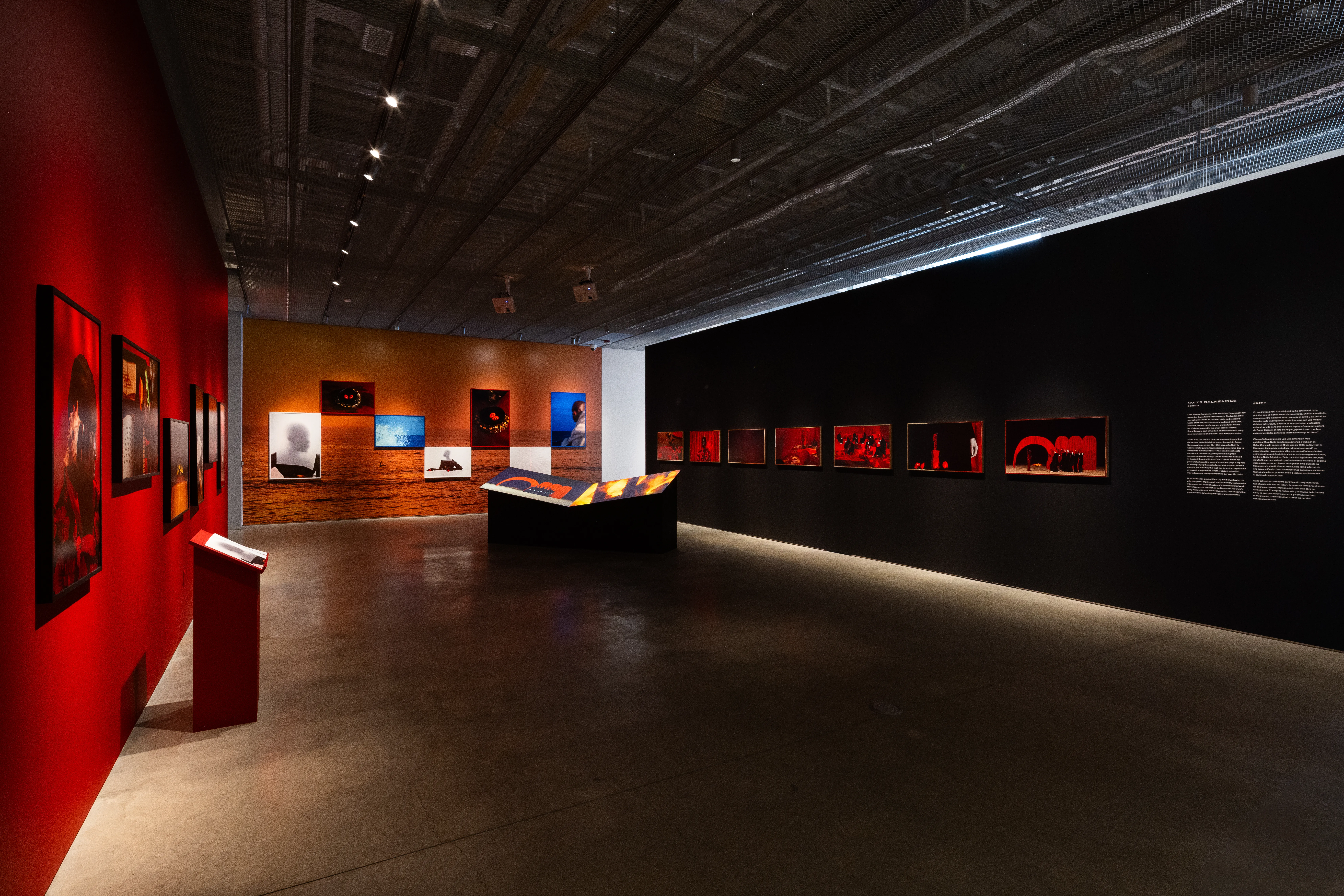 Image: Jenna Bascom for ICP