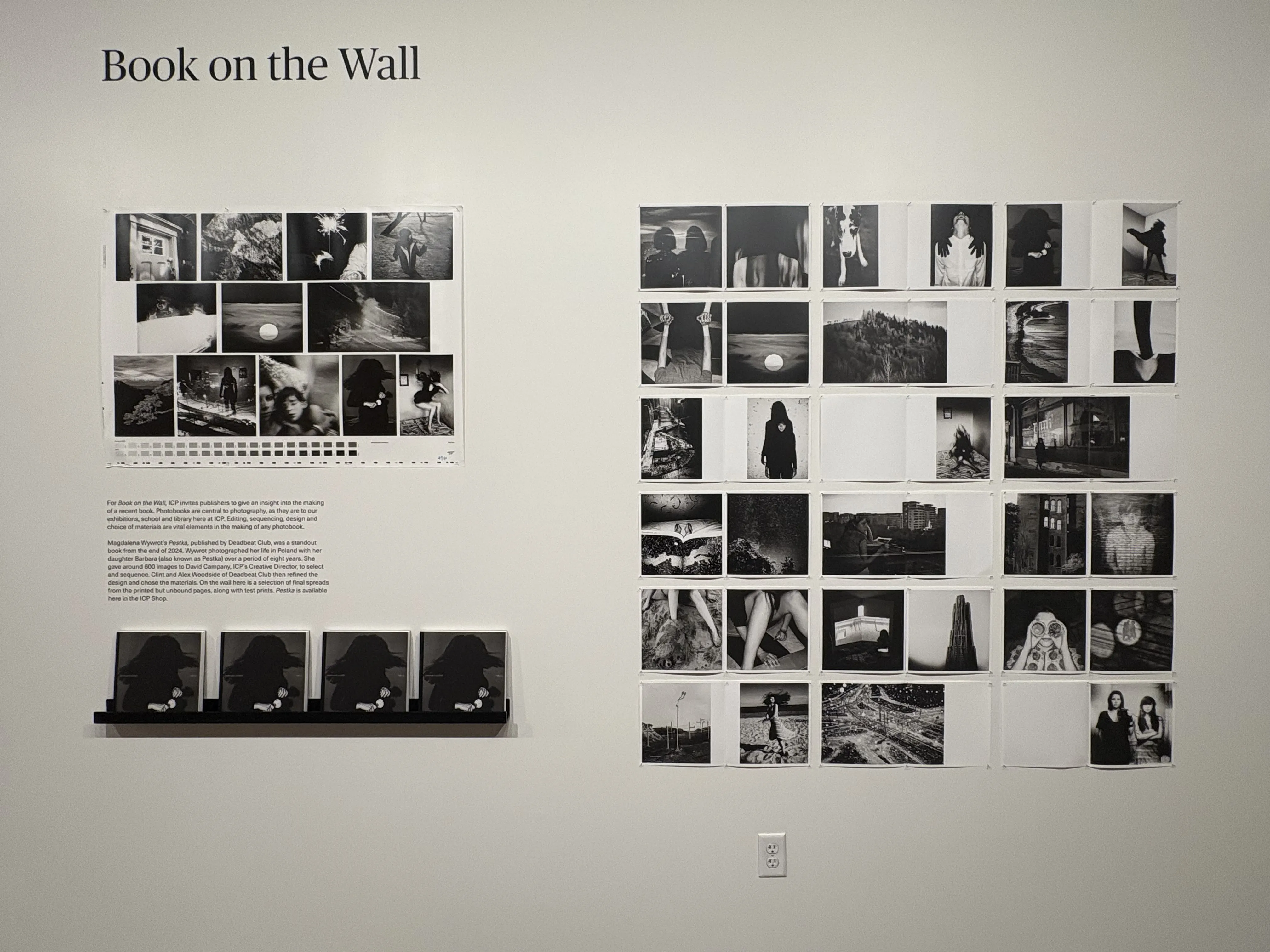 Magdalena Wywrot, Pestka, Book on the Wall