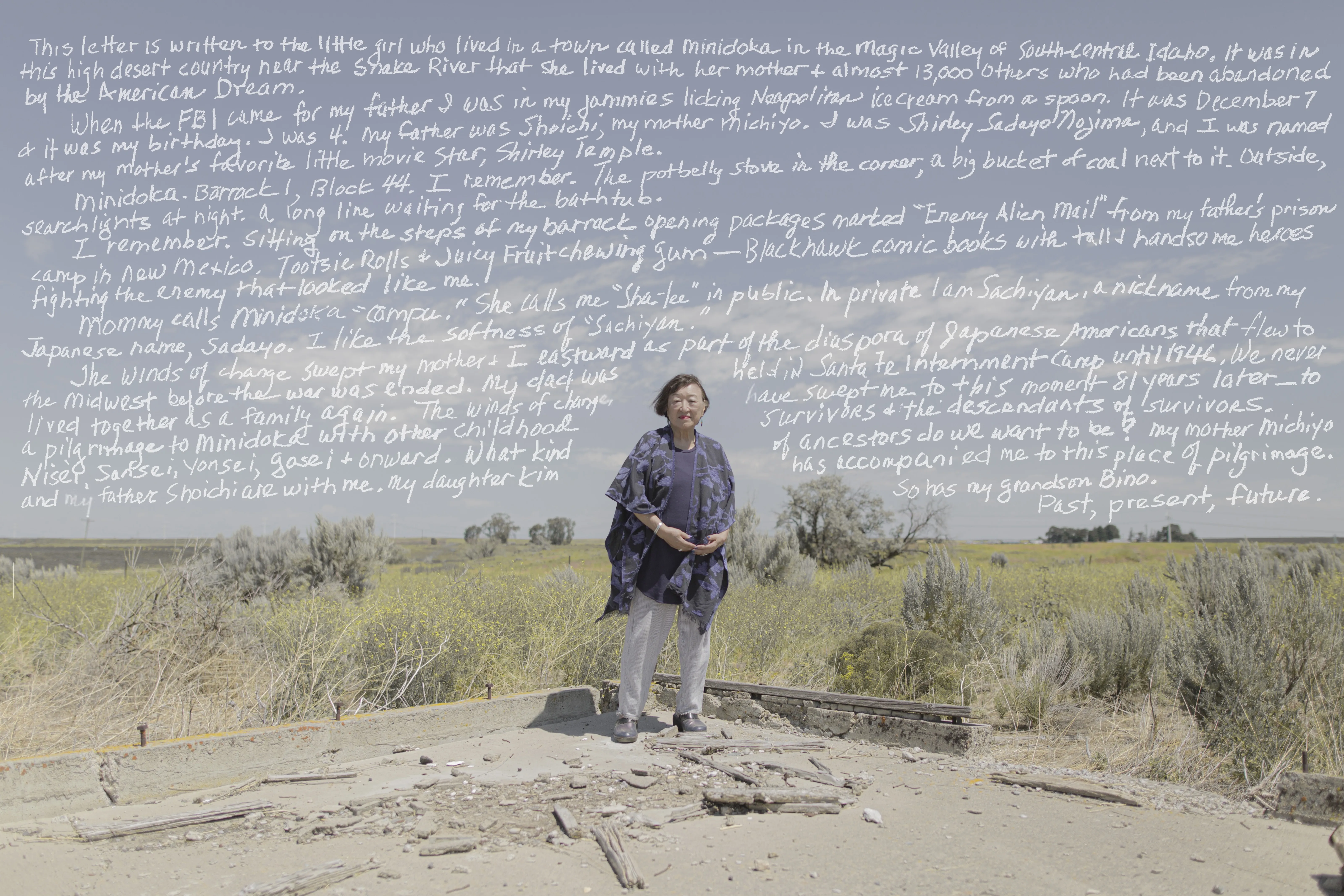 TheCampsAmericaBuilt