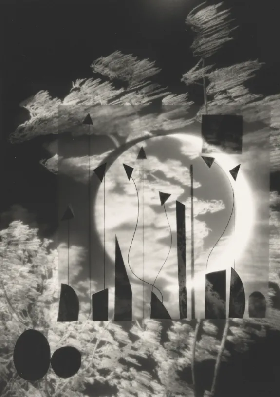 Ayumi Tanaka's While Everyone Sleeps
