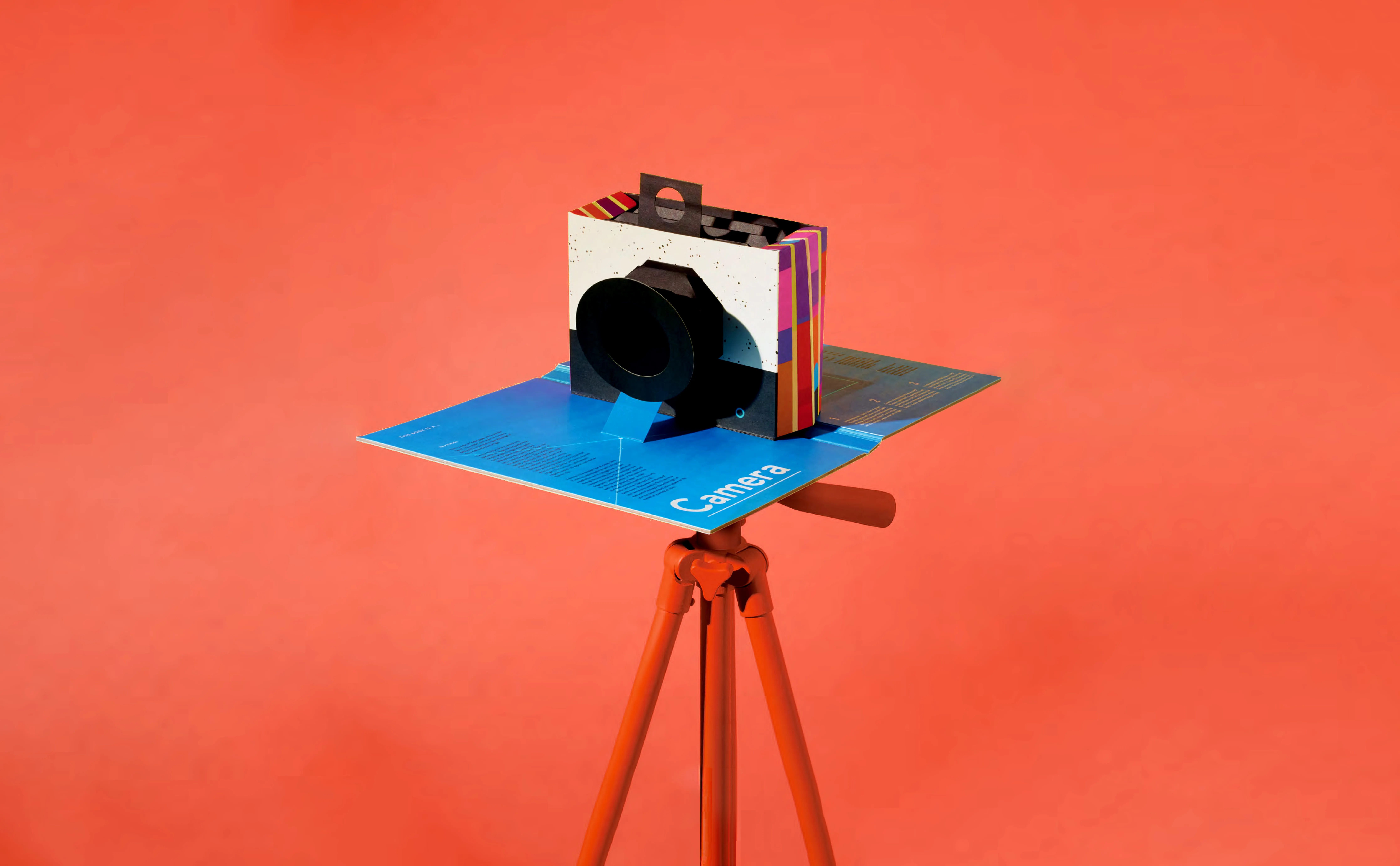 this book is a camera 2