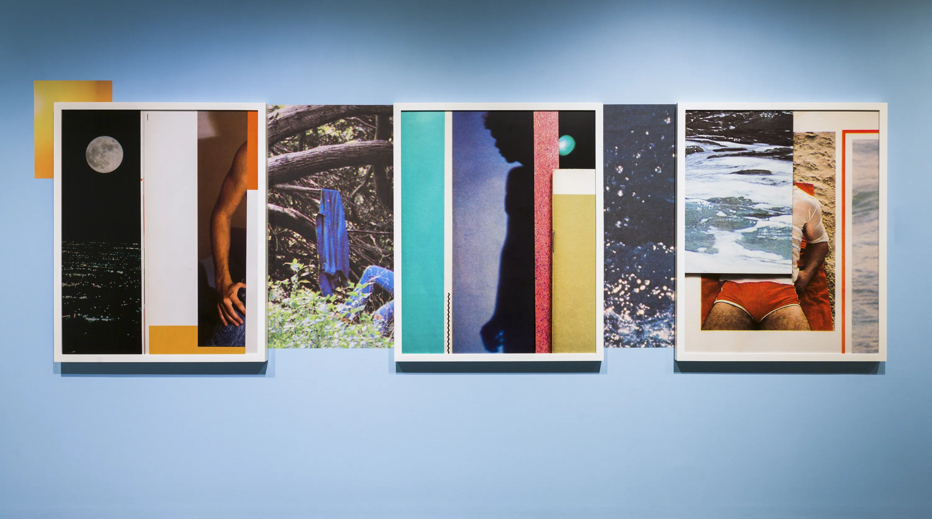 A collage of different pictures.