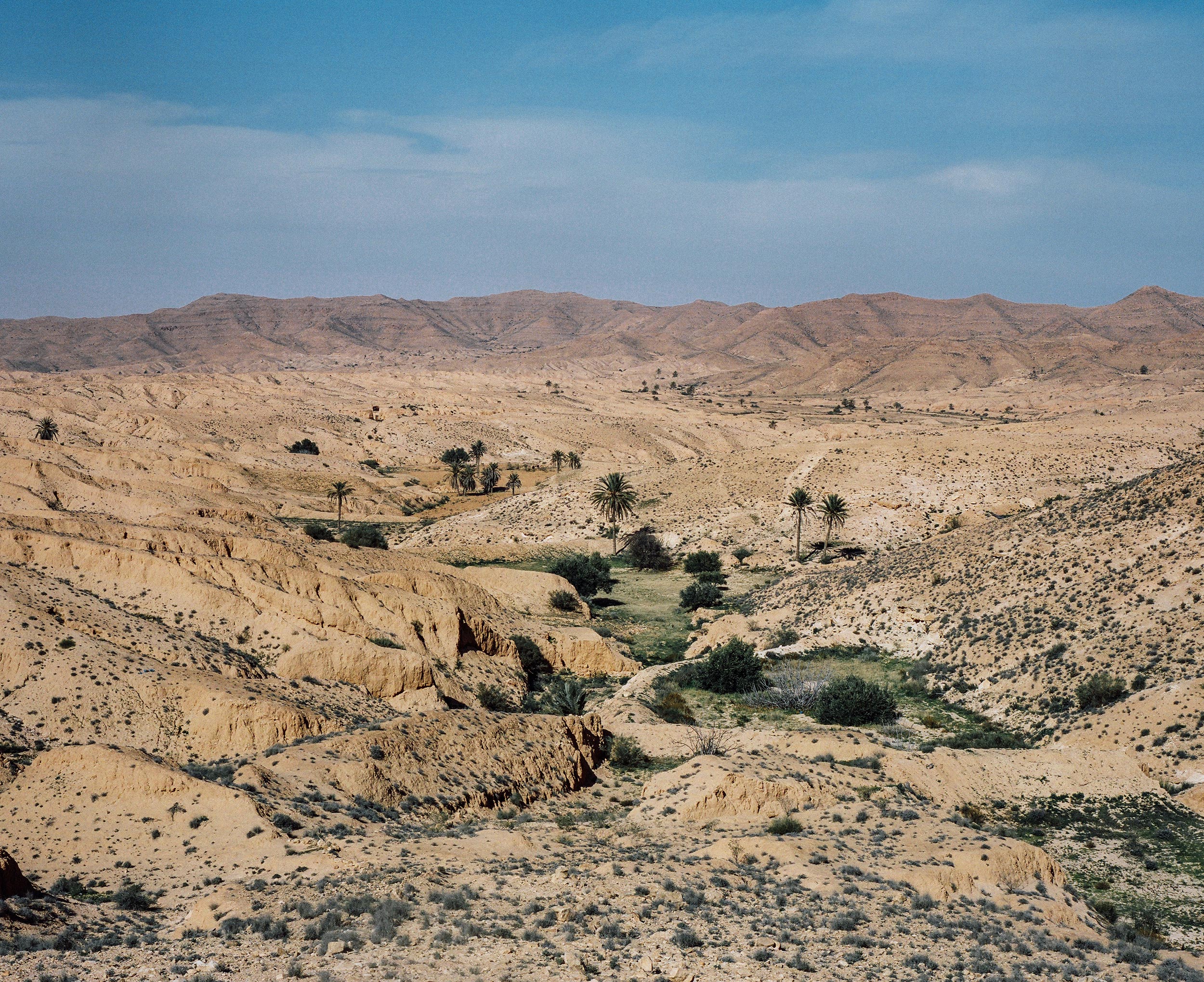 © Yumna Al-Arashi © Yumna Al-Arashi
